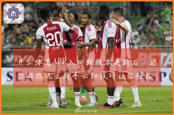 开云体育APP入口新版本更新后，这些游戏玩法新手必知技巧让你轻松上手