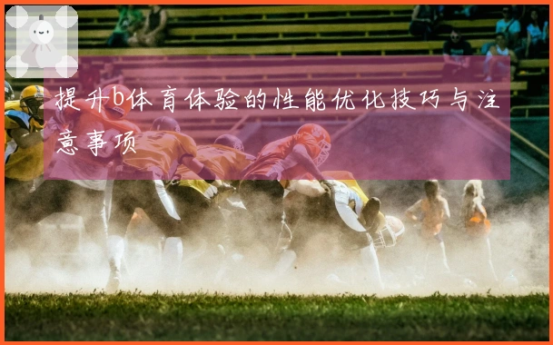 提升b体育体验的性能优化技巧与注意事项